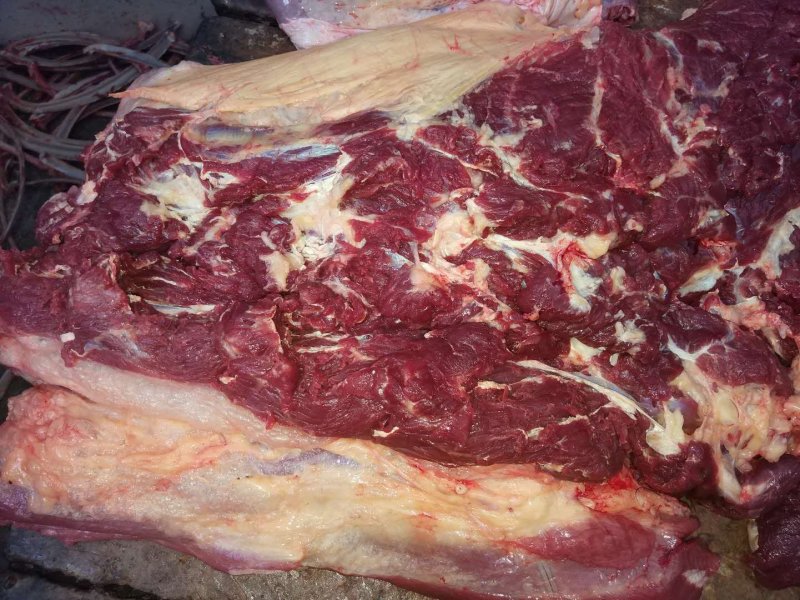 蒙古马肉脖子肉，质量保证，价格低，手续齐全
