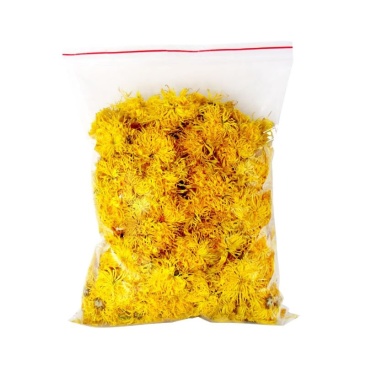 金丝皇菊