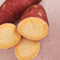 济薯26红薯