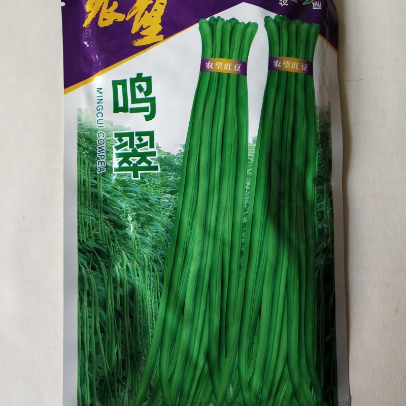 豇豆种子，翠绿宝，农望鸣翠厂家直销欢迎咨询