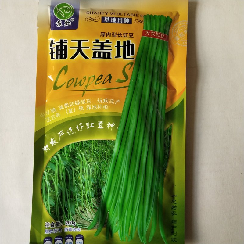 豇豆种子，翠绿宝，农望鸣翠厂家直销欢迎咨询