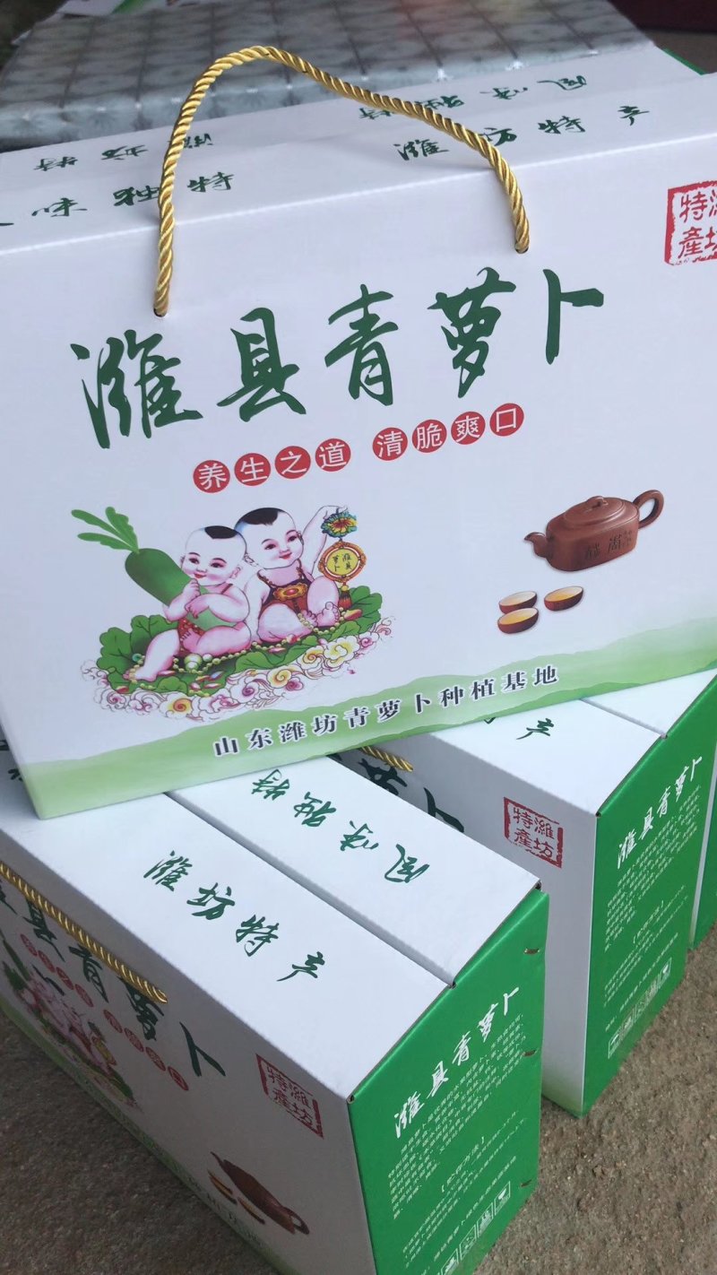 青萝卜，产地批发，大量供应，着急出售，价格便宜