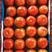 大红硬果精品硬粉西红柿大量上市大红弧三以上现摘