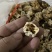 羊肚菌干品根正在销售中。