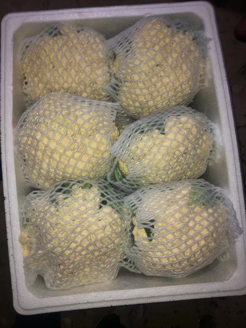 白实花大量上市可供平台，商超，加工厂社区团购