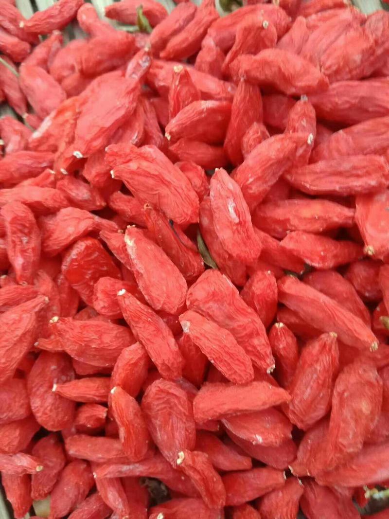 正宗宁夏红枸杞【头茬好货】纯碱枸杞一手货源品质保证。