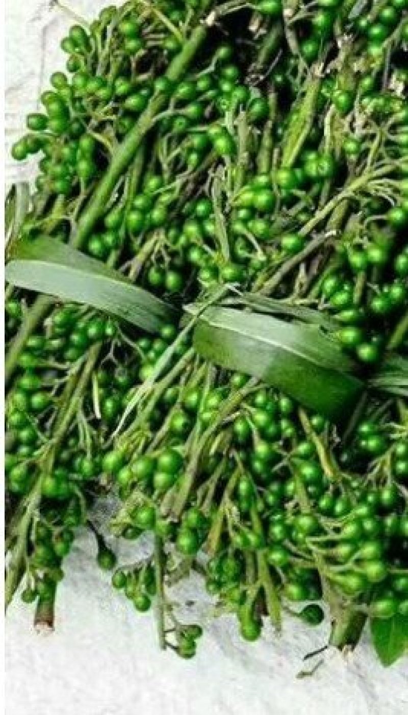 木姜子树苗山胡椒花椒苗当年结果野花椒香料带土球发货买多优