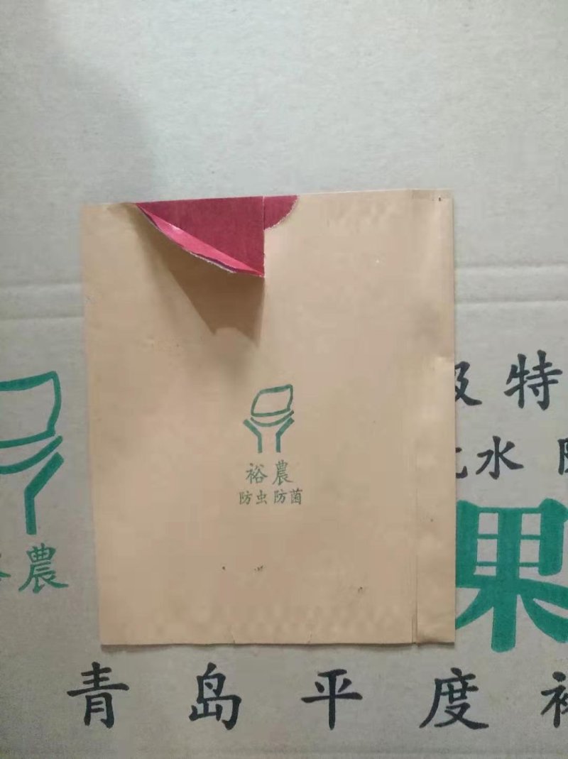 水果套袋规格齐全，防虫防菌防鸟，厂家直销，质量保证！