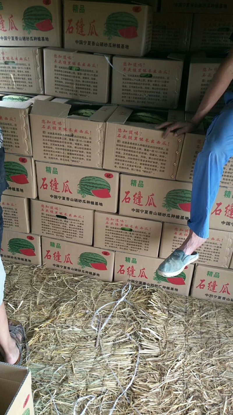 中卫硒砂瓜石头缝长出来的瓜口感好支持全国发货