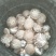 出售香菇出菇菌棒19*58/18.60
