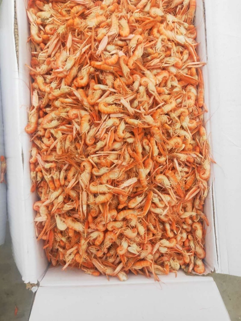 干货山东渤海爪虾，狗虾，海虾大量批发，淡干