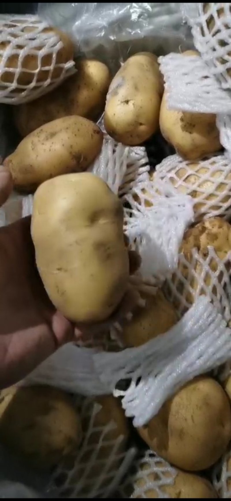 精品荷兰土豆，黄皮黄心，产地直发大量供应支持线上交易
