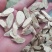 【傲宇药材】黄芪实图量大从优，品质保证