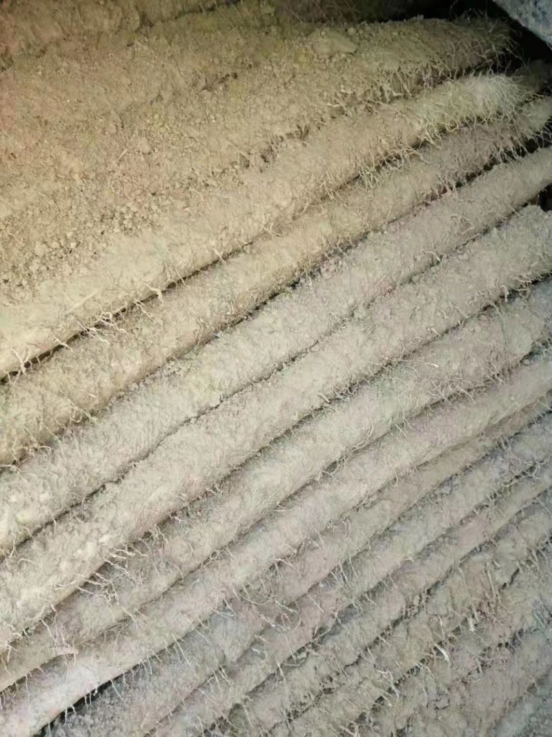 铁棍麻山药
