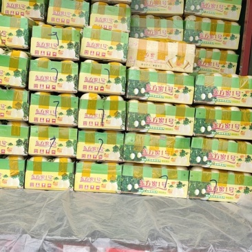 台州东方蜜今天上市了