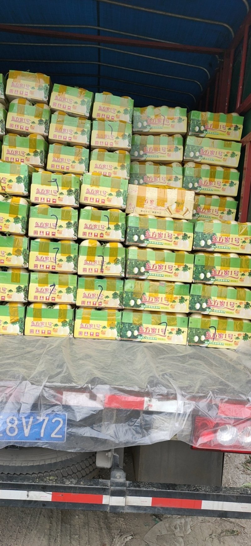 台州东方蜜今天上市了