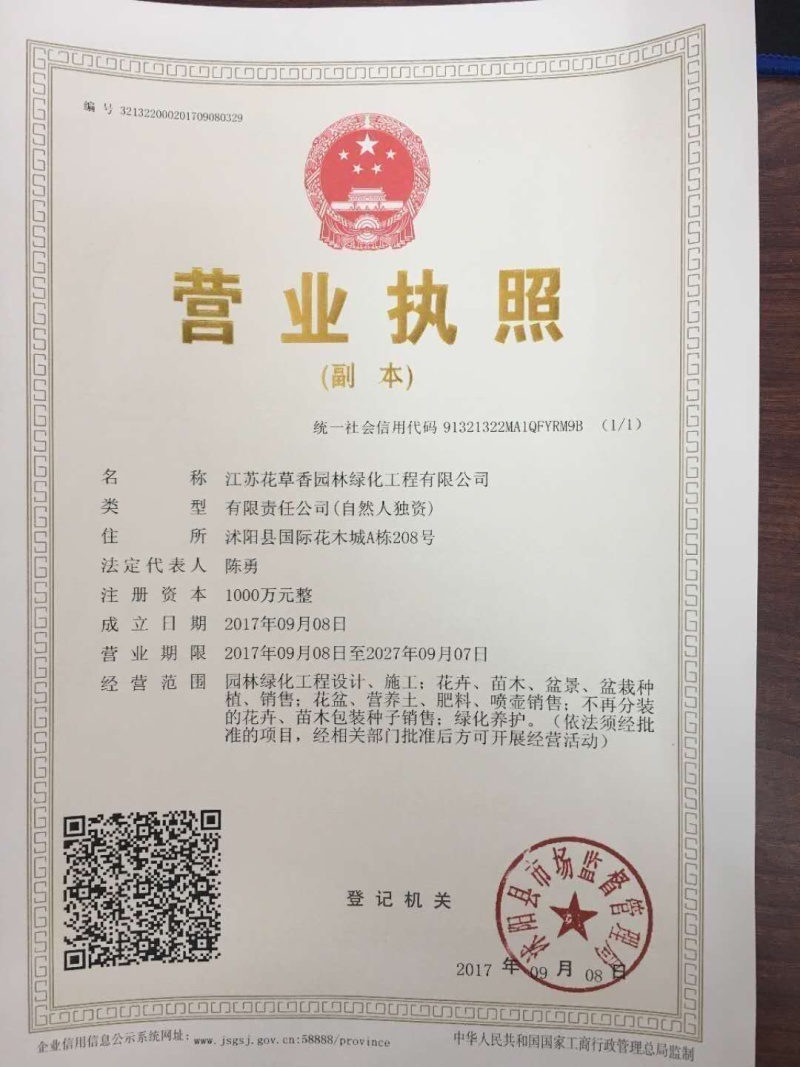蒲公英种子四季可播发芽率高新货阳台路边花海种子