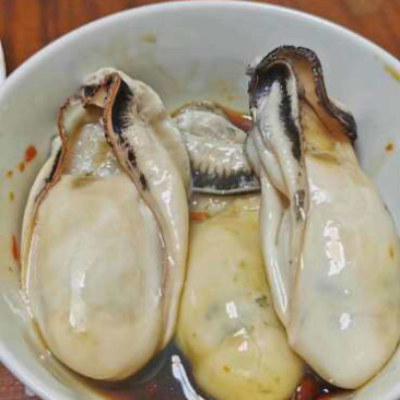 阳西生蚝