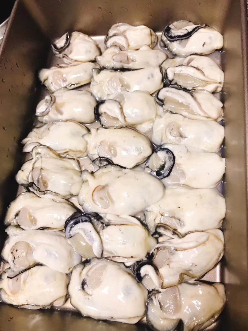 阳西生蚝