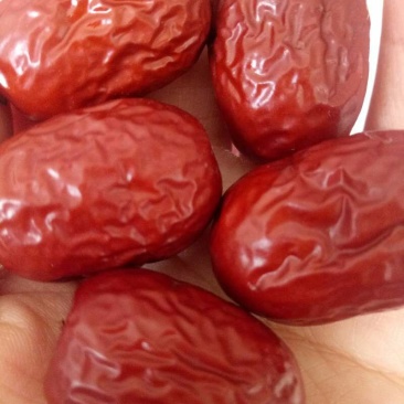 若羌灰枣厂家大量货源皮薄核小肉厚保质保量