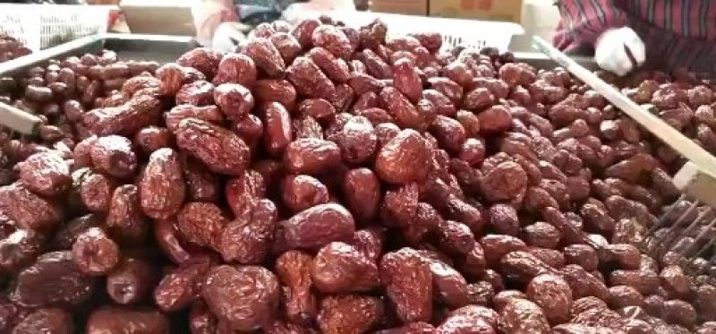 诚信新疆红枣批发商核小肉厚一手货源规格全品质好