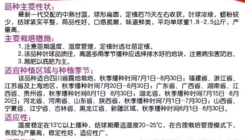 甘蓝水果甘蓝