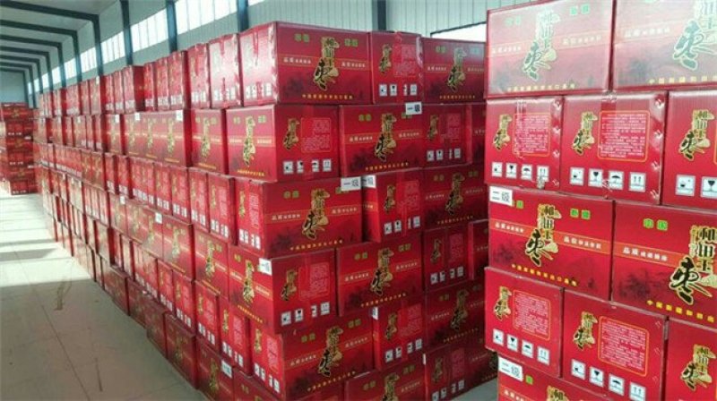 新疆若羌灰枣红枣保质保量厂家一手货源价格低