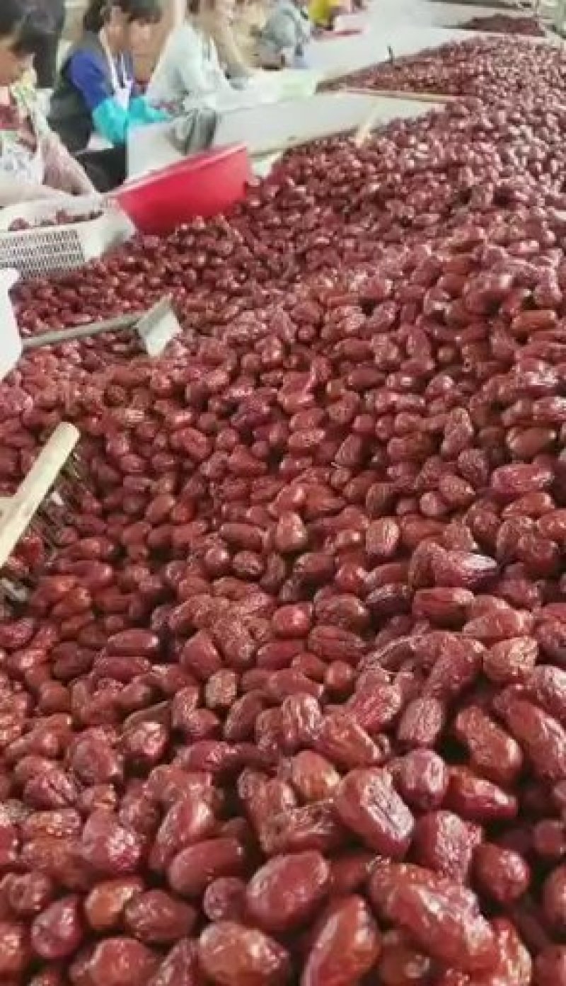 红枣和田大枣加工厂直供量大价低新货上市核小肉厚