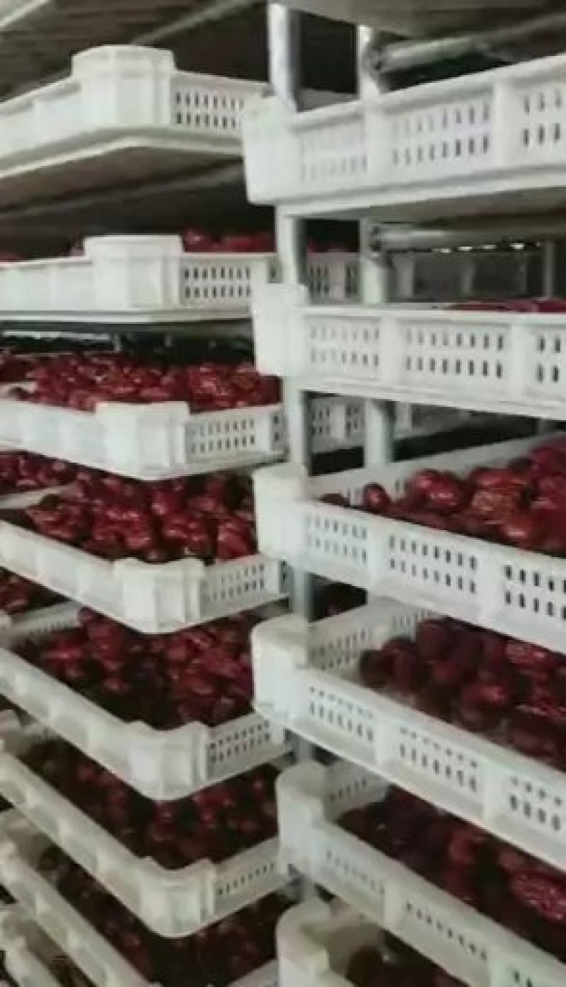 红枣和田大枣加工厂直供量大价低新货上市核小肉厚