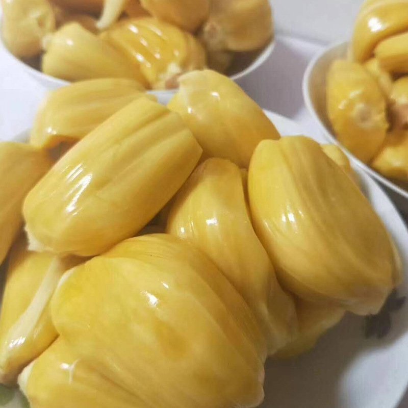 【支持一件代发】海南菠萝蜜，肉粒饱满甜度高，热卖款