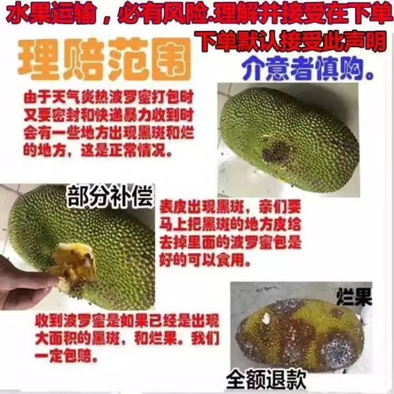 【支持一件代发】海南菠萝蜜，肉粒饱满甜度高，热卖款