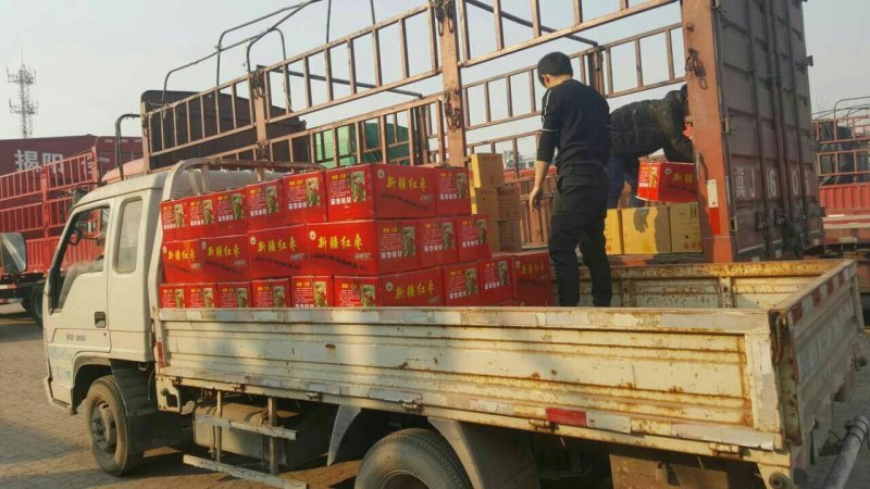 电商大卖若羌灰枣厂家常年大量供应批发品质好价格低