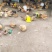 芦花混雏，4月份开始育雏接受预定啦