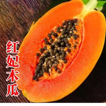 台湾非转基因红妃水果木瓜苗(肉质细腻，木瓜比较甜的品种)