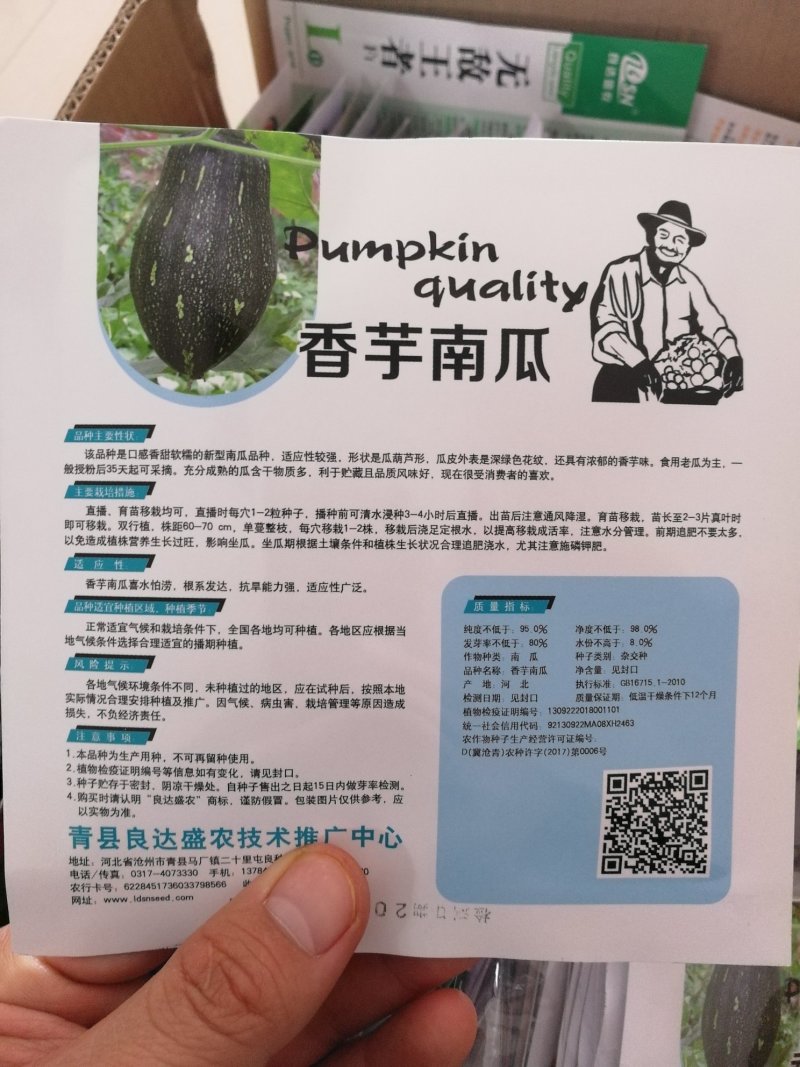 【优质】香芋南瓜种子香味浓郁坐果能力强