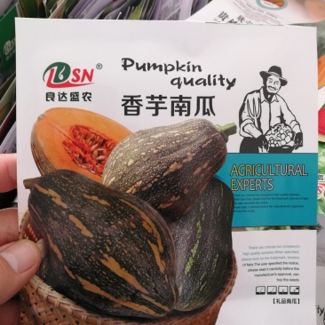【优质】香芋南瓜种子香味浓郁坐果能力强