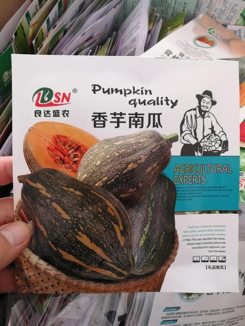 【优质】香芋南瓜种子香味浓郁坐果能力强