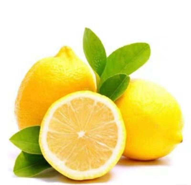 柠檬树苗清香柠檬嫁接苗香水柠檬苗适合盆栽地栽柠檬树
