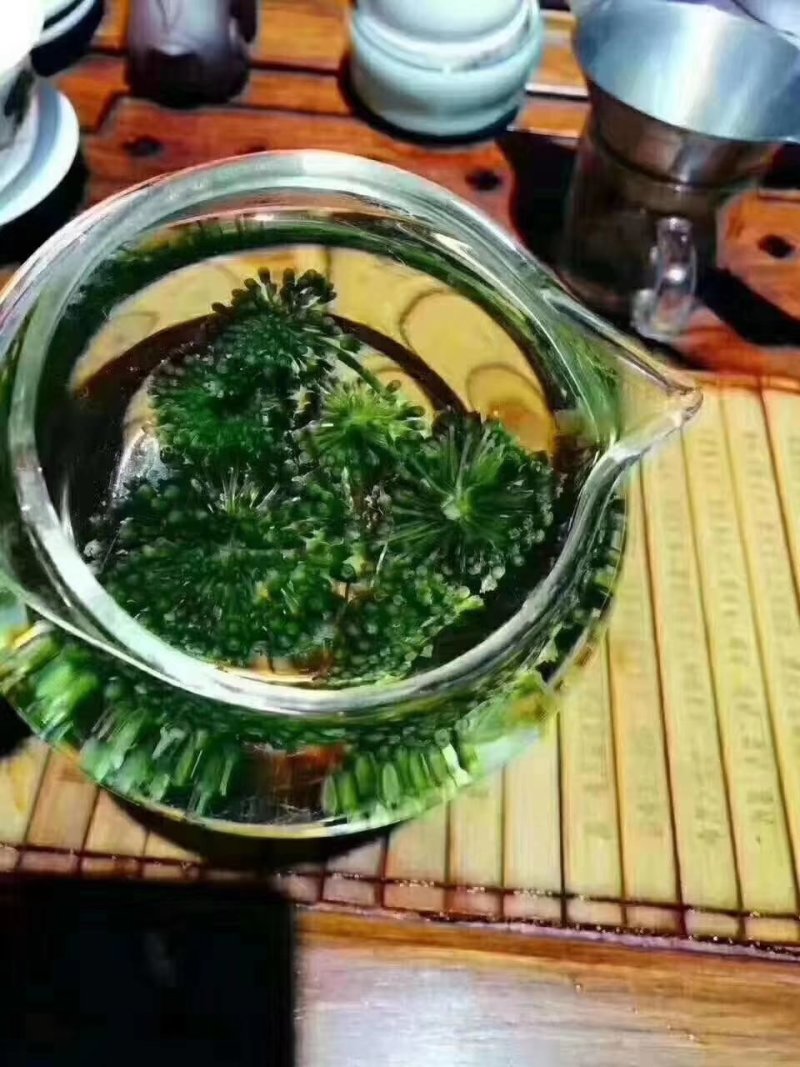 人参花长白山六年生人参花六罐一件包邮产地直供