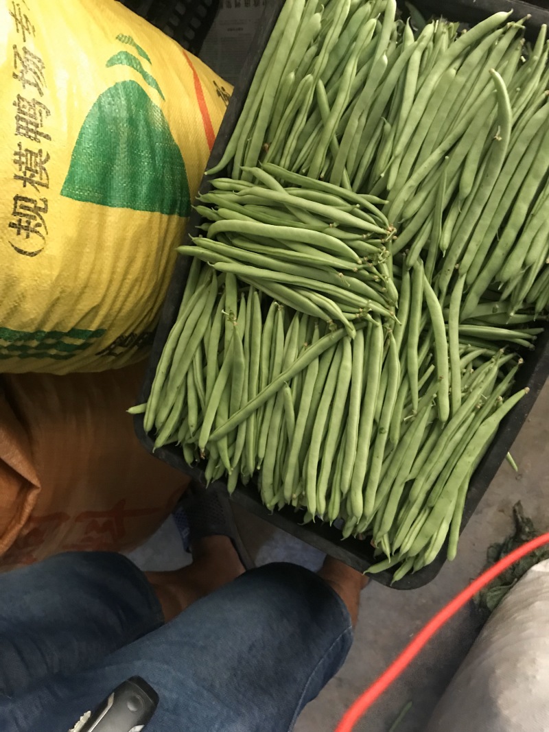 老板好，欢迎各位boos来咨询价格，货真价实玩的诚信