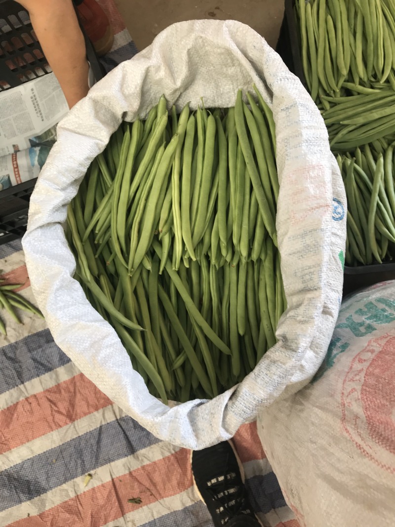 老板好，欢迎各位boos来咨询价格，货真价实玩的诚信
