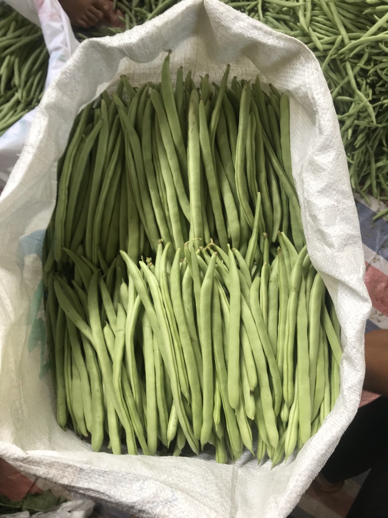 老板好，欢迎各位boos来咨询价格，货真价实玩的诚信