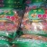 【发货中】庆阳镇原特产甘草杏肉曹杏脯无核果脯蜜饯450g