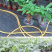 发财树盆栽植物室内客厅绿植小盆景四季常青办公室招财小盆栽