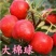大棉球山楂苗歪把子山楂嫁接苗大绵球山楂树苗南北方种植当年