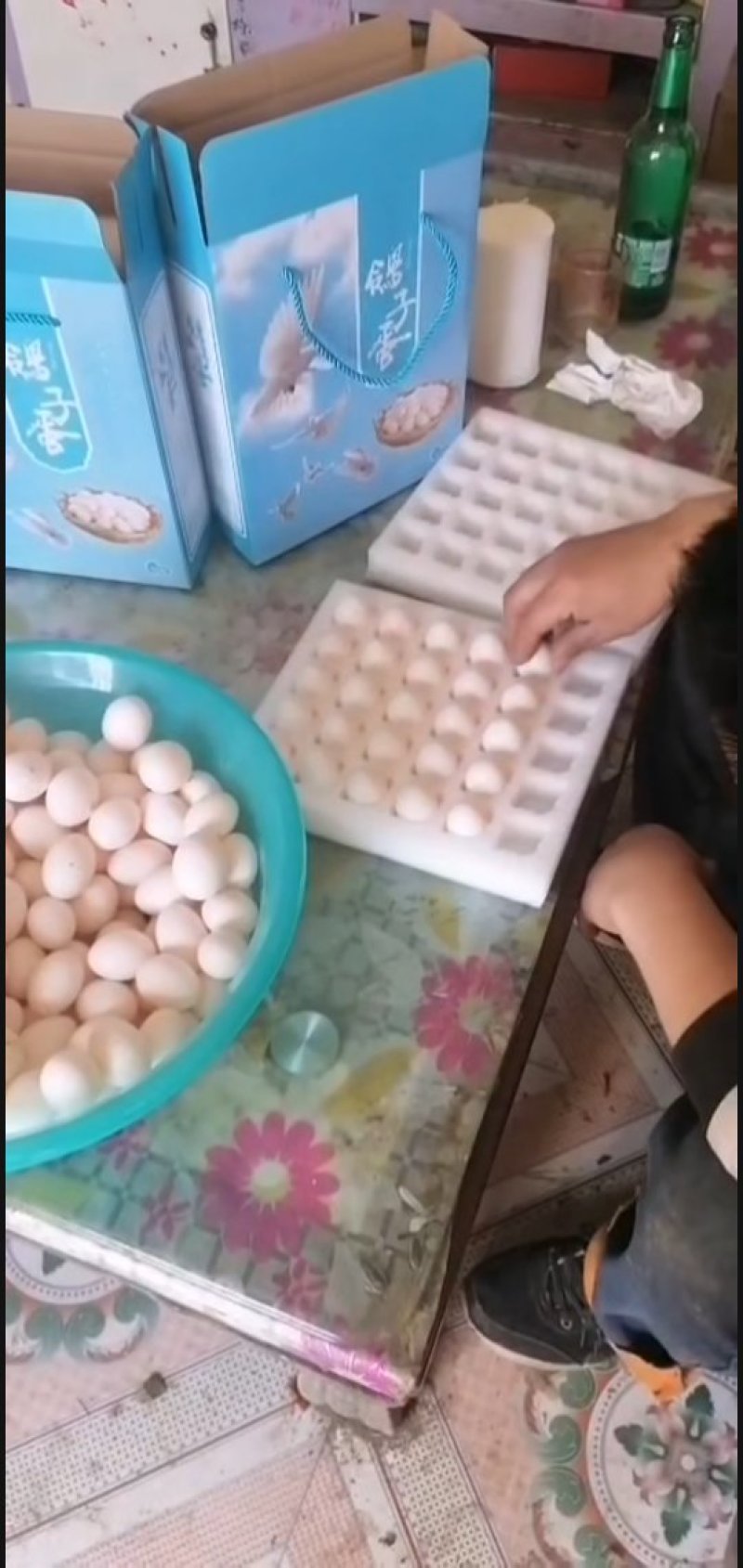 鸽子蛋