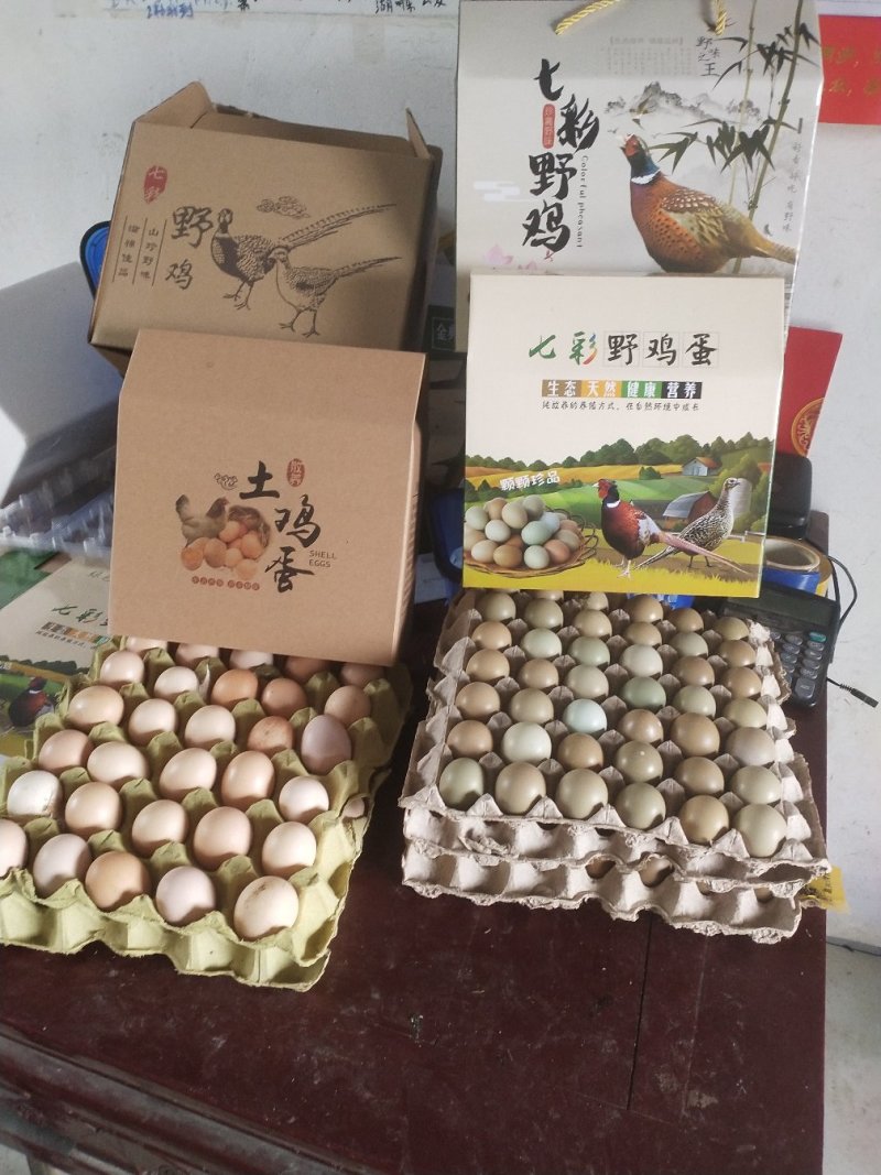 白鹅6~8斤肉鹅