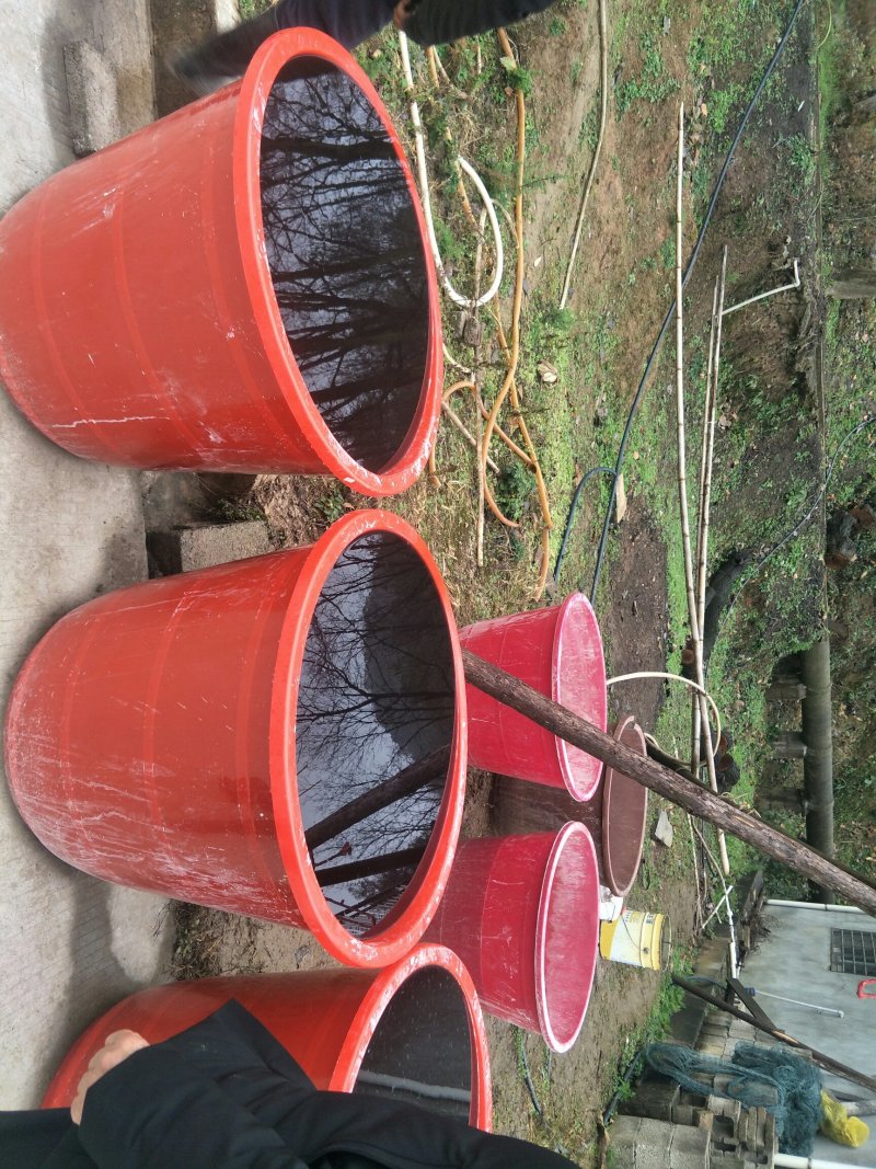 野生葛根粉，手工精心提炼无杂质。