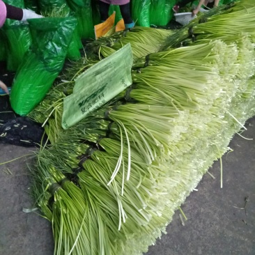 蒜薹