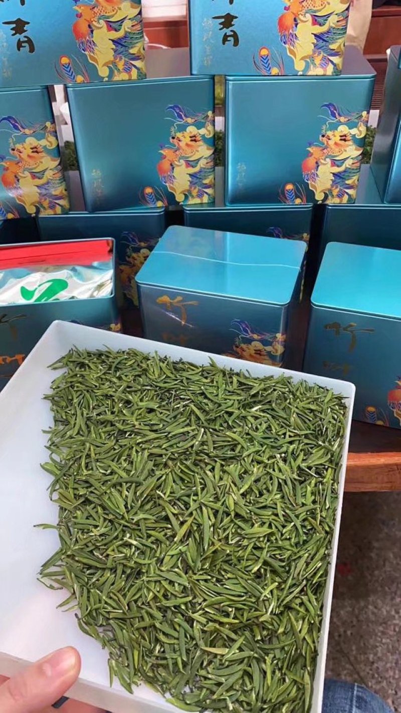 供应雀舌特级雀舌特价包邮高档雀舌厂家直销批发